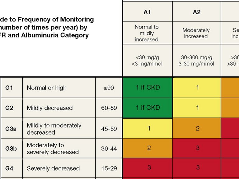 GFR and albuminuria grid to reflect the risk of progression by intensity of coloring