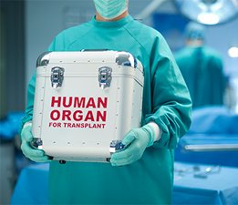 Medicinska sestra drži kutiju za ljudski organ